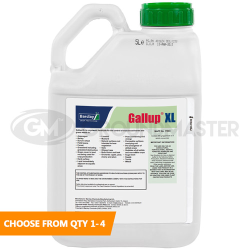 Gallup very strong - gallup,